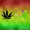 Imagem de Go Launcher EX Tema Rasta