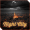 Imagem de XPERIA™ Theme NightCity