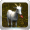 Imagem de Cabra Feliz (My Happy Goat)