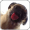 Imagem de DOG LICKER LIVE WALLPAPER FREE