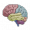 Imagem de 3D Brain