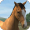 Imagem de My Horse