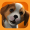 Imagem de PS Vita Pets: Salão