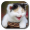 Imagem de engraçado do gato