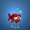 Imagem de Fish