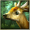 Imagem de Forest HD