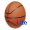 Imagem de Basketball Stats Lite