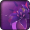 Imagem de Violeta 3d Wallpapers