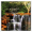 Imagem de Waterfall 3D HD Live Wallpaper