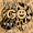 Imagem de GO SMS Pro Tema Leopard