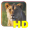 Imagem de Safari List HD - East Africa