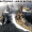 Imagem de Battleship : Line Of Battle