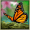 Imagem de Season Zen HD