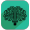 Imagem de Neuron Gym : Brain Trainer