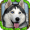 Imagem de Stray Dog Simulator